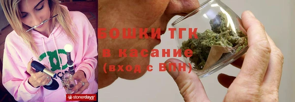стаф Алексин