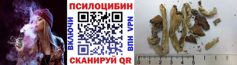 где купить наркотик  Касли  Псилоцибиновые грибы GOLDEN TEACHER 