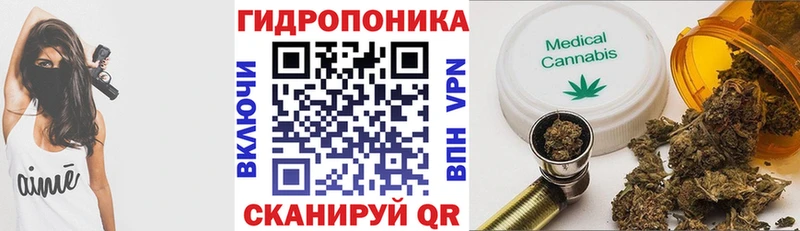 OMG как зайти Касли Бошки марихуана индика